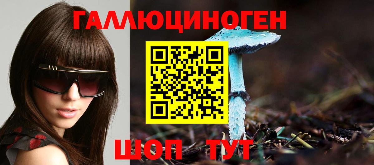 Галлюциногенные грибы Magic Shrooms  Вход с VPN  Оренбург  Галлюциногенные грибы мицелий 